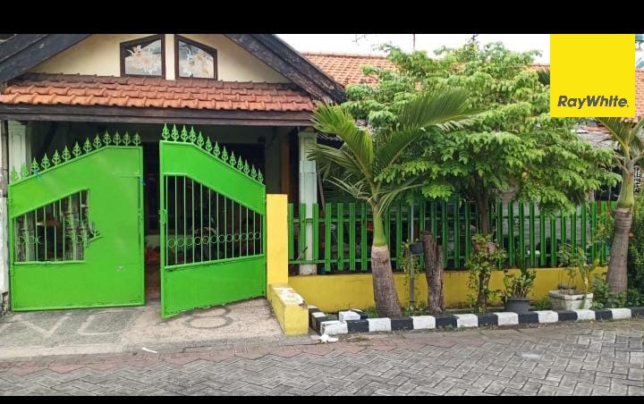 Dijual Cepat Rumah Lokasi Strategis di Jl. Ikan Lumba-Lumba, SBY