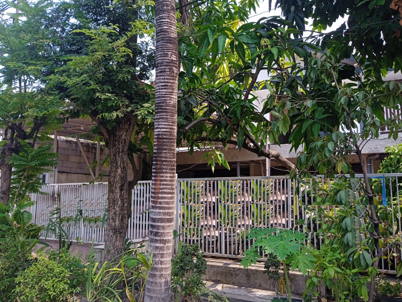 rumah dijual jalan sumbawa surabaya