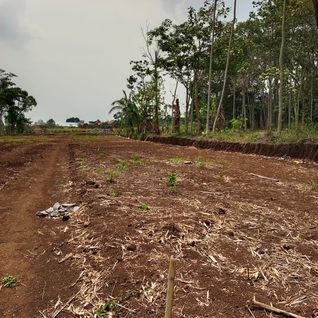 TANAH MURAH, STRATEGIS, PEMANDANGAN CANTIK DI SINGOSARI MALANG