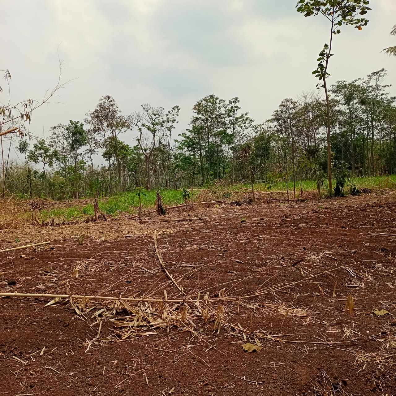 TANAH MURAH, STRATEGIS, PEMANDANGAN CANTIK DI SINGOSARI MALANG