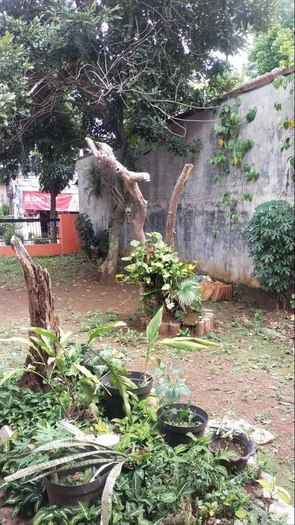 Rumah Akses Mobil, 5 Menit Ke Jalan Joglo Raya