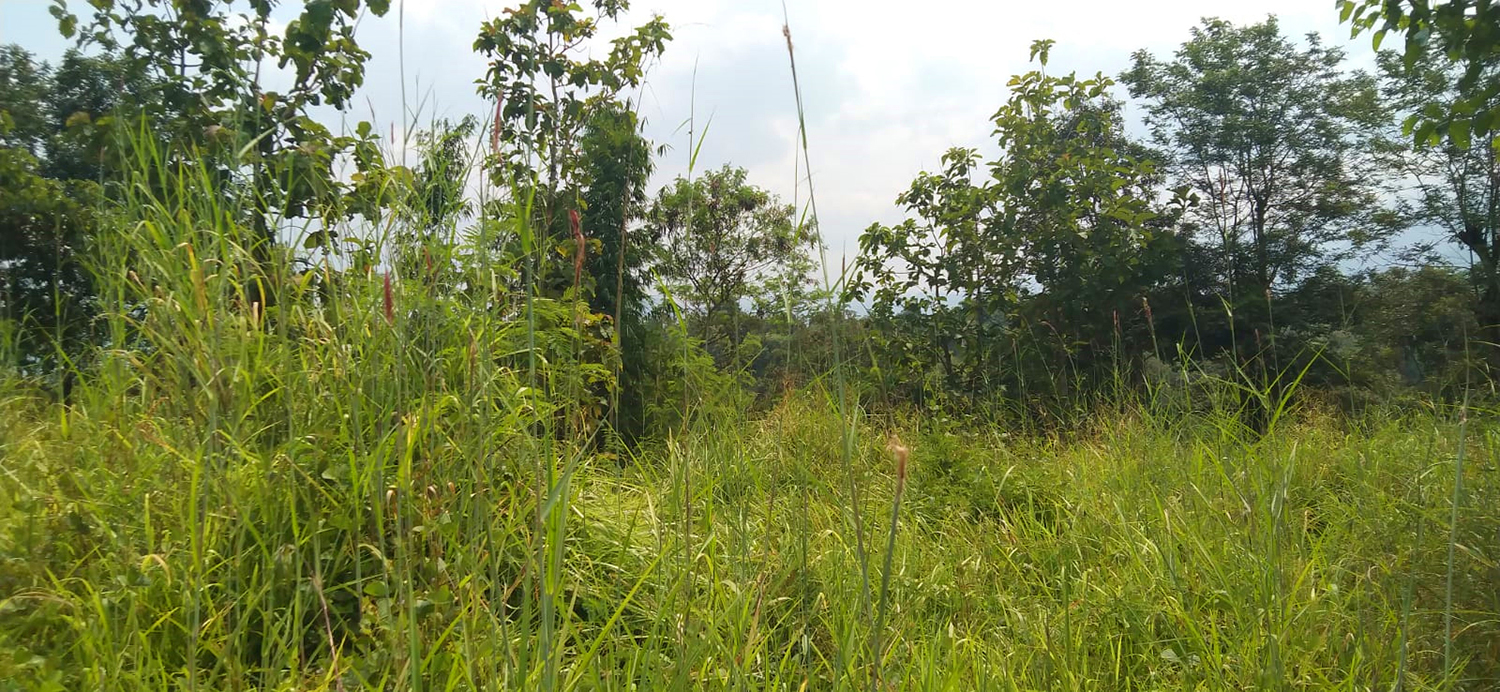 TANAH KOMERSIAL DI SUKAMERANG KERSAMANAH KABUPATEN GARUT