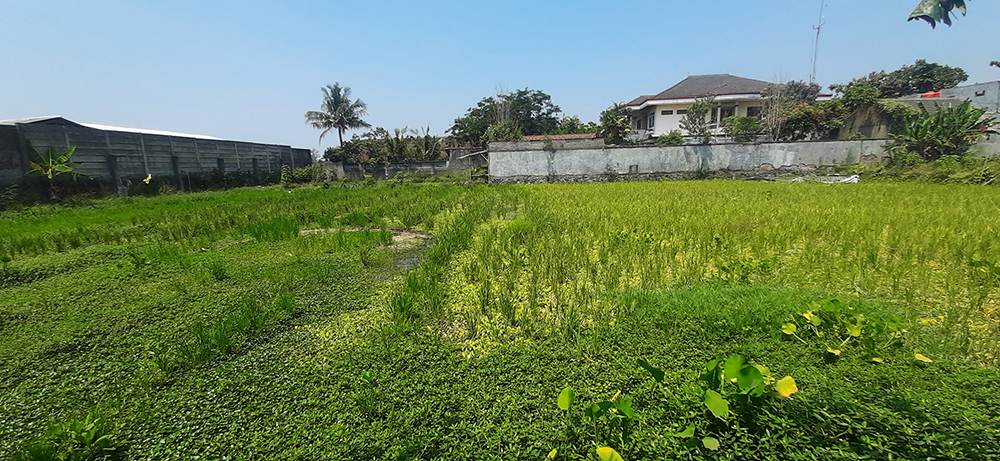 TANAH KOMERSIAL DI JALAN RAYA CIPAMOKOLAN BANDUNG