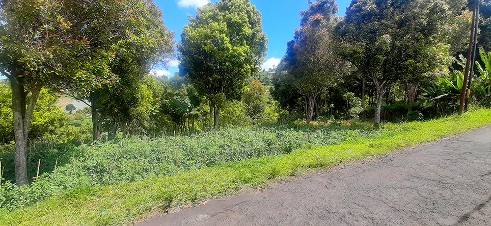 TANAH RESIDENSIAL DI CIUMBULEUIT BANDUNG