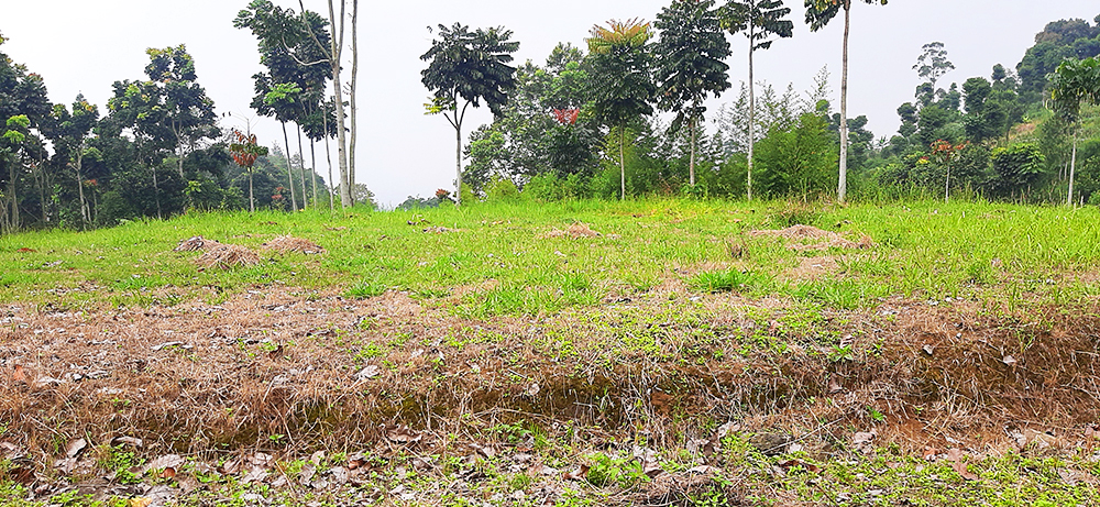 TANAH KOMERSIAL DI JALAN RAYA DAGO GIRI BANDUNG