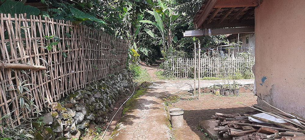 KEBUN NENAS  DI JALAN RAYA CAGAK SUBANG