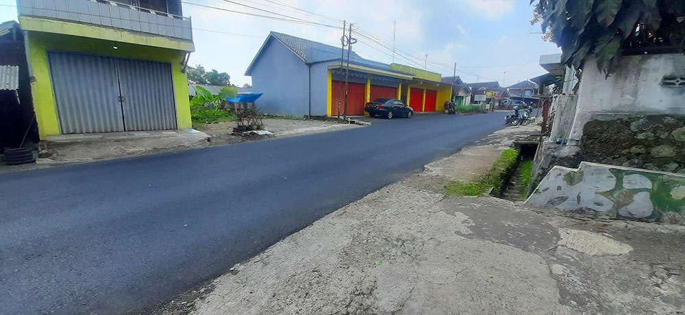 KEBUN NENAS  DI JALAN RAYA CAGAK SUBANG