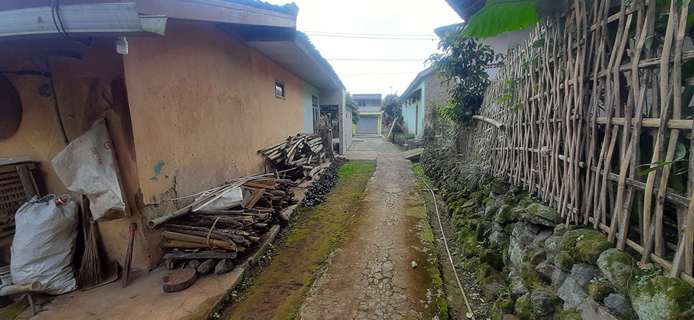 KEBUN NENAS  DI JALAN RAYA CAGAK SUBANG