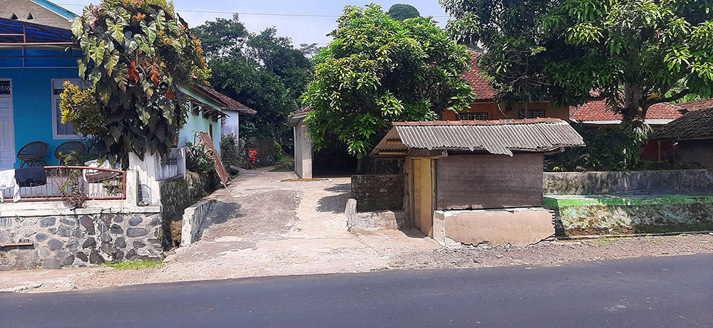 KEBUN NENAS  DI JALAN RAYA CAGAK SUBANG