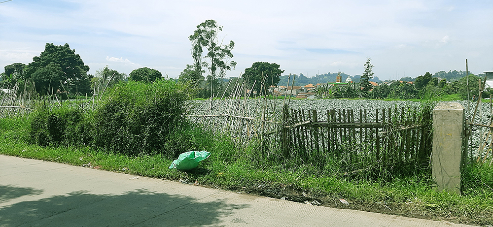 Tanah Komersial Untuk Agrowisata Villa Dan Kebun Di Lembang Bdg