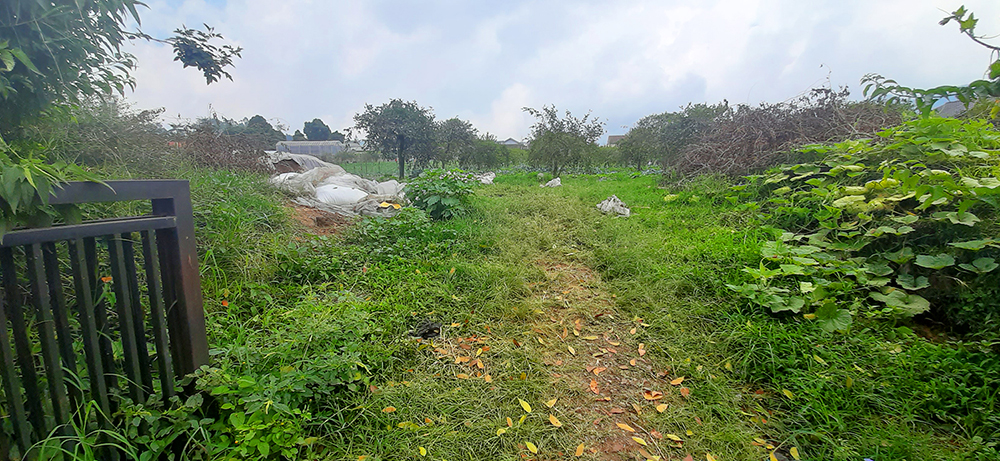 Tanah Komersial Selangkah Ke The Lodge Maribaya Lembang Bandung