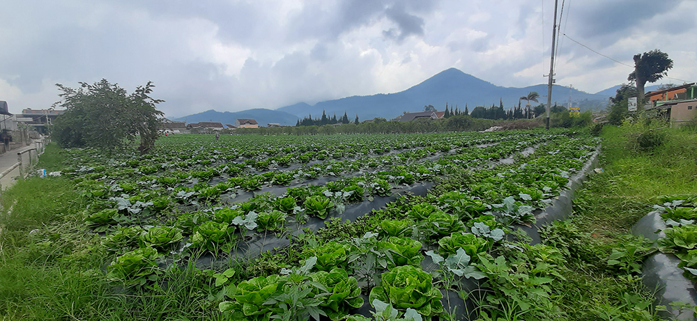 Tanah Komersial Selangkah Ke The Lodge Maribaya Lembang Bandung