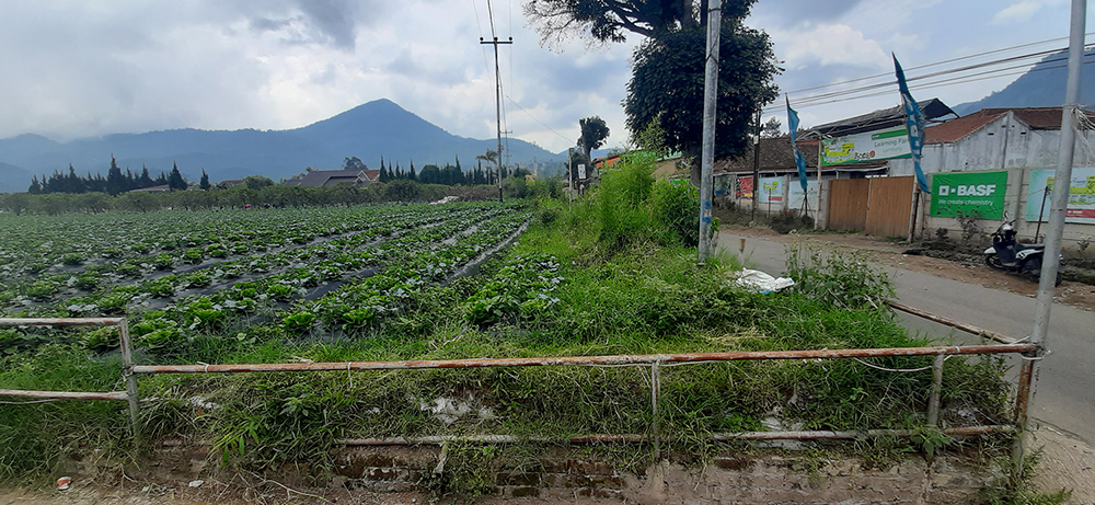 Tanah Komersial Selangkah Ke The Lodge Maribaya Lembang Bandung