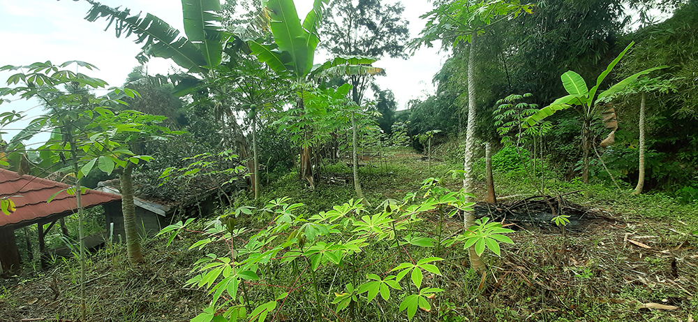 TANAH VIEW HERITAGE GOLF DAN LEMBAH PAKAR DAGO BANDUNG