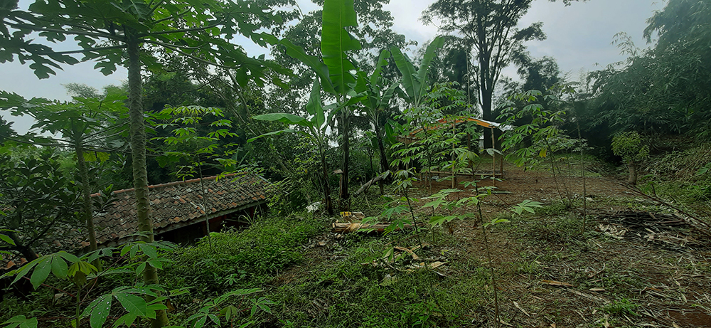 TANAH VIEW HERITAGE GOLF DAN LEMBAH PAKAR DAGO BANDUNG