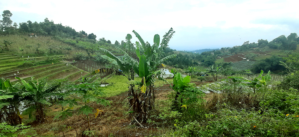 TANAH VIEW HERITAGE GOLF DAN LEMBAH PAKAR DAGO BANDUNG