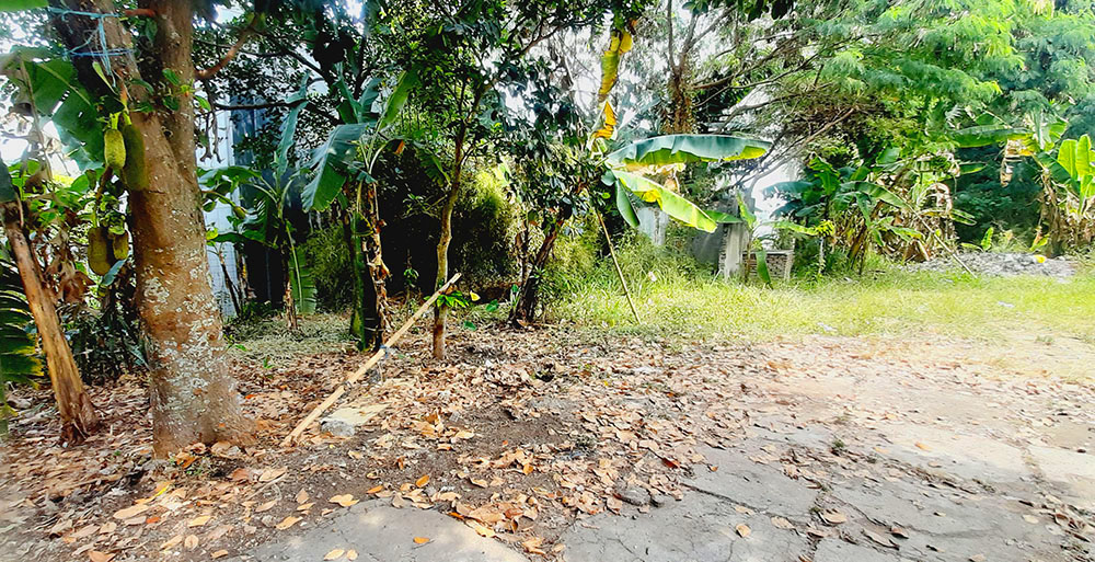 TANAH VIEW KOTA BANDUNG DI SAYAP JALAN PASIR IMPUN KOTA BANDUNG