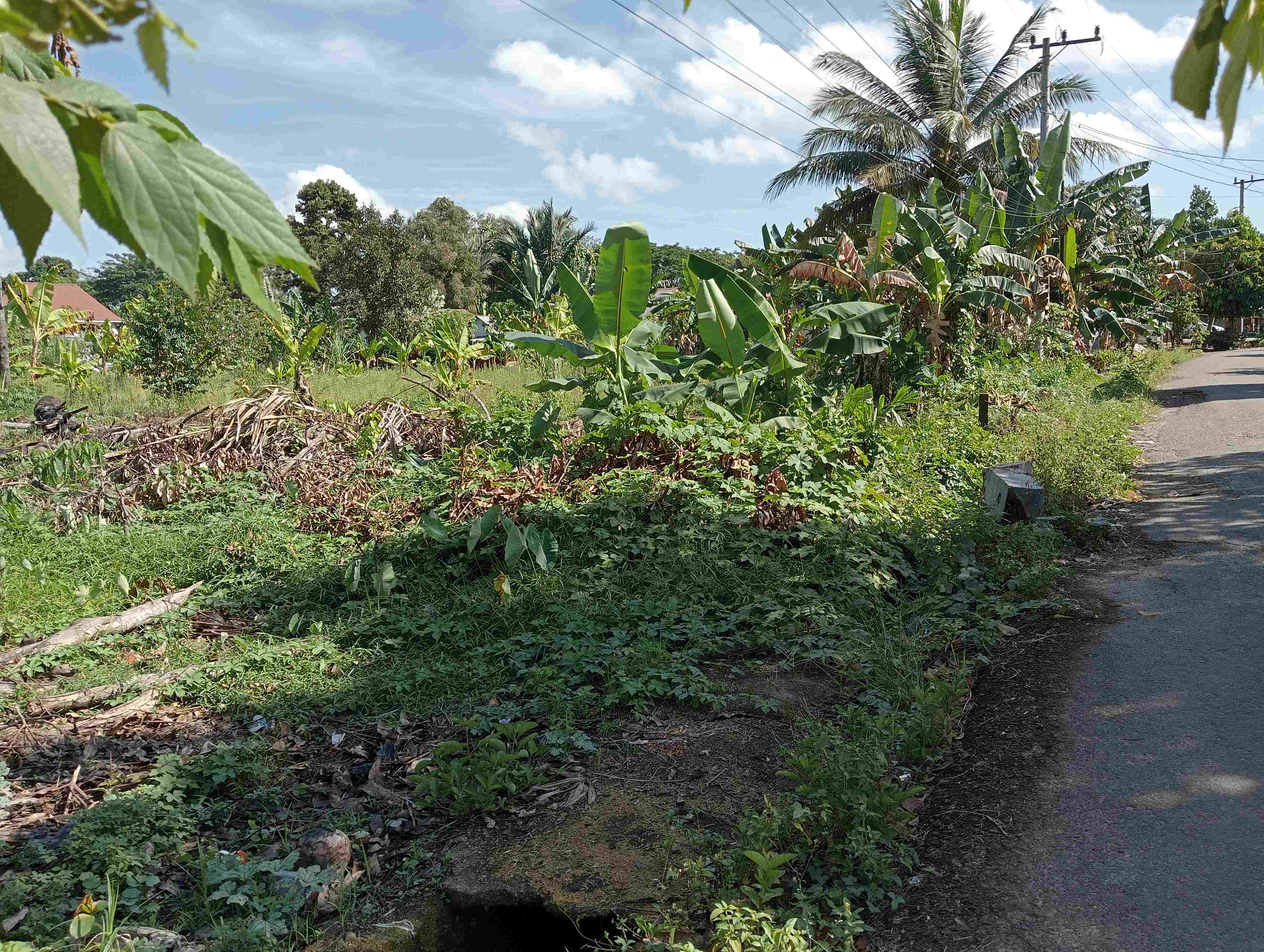 Tanah di Kota Rantau