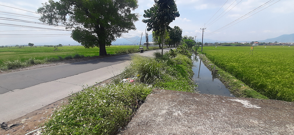 TANAH UTK PERUMAHAN DI JL. RAYA MAJALAYA-RANCAEKEK KAB, BANDUNG