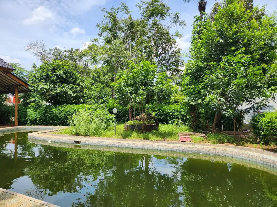 Rumah Ada Pool Area Pejaten Timur, 400 Meter Ke Jln Kemuning Ray