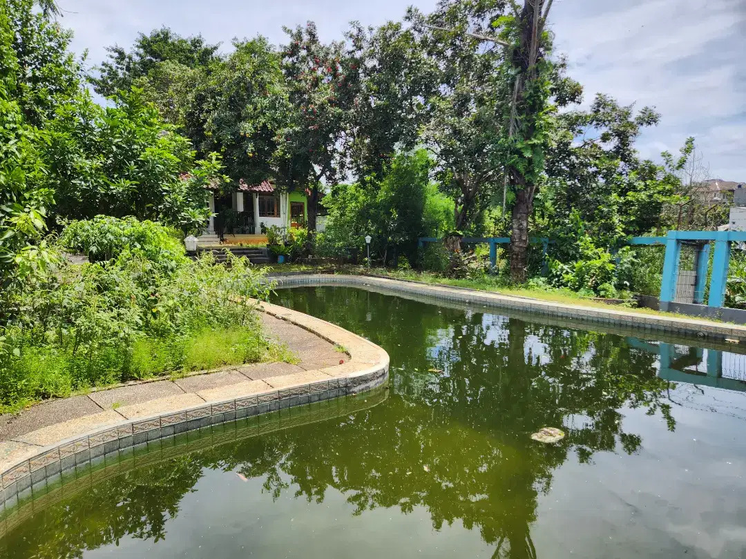 Rumah Ada Pool Area Pejaten Timur, 400 Meter Ke Jln Kemuning Ray