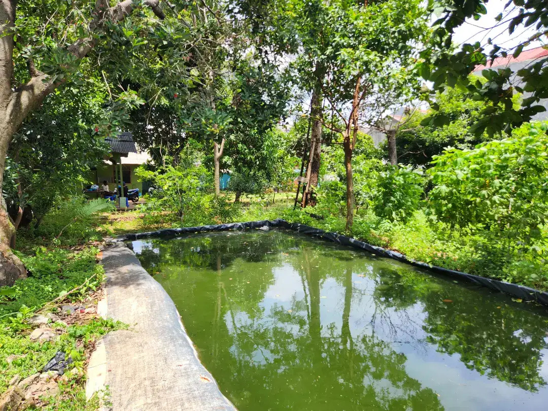 Rumah Ada Pool Area Pejaten Timur, 400 Meter Ke Jln Kemuning Ray