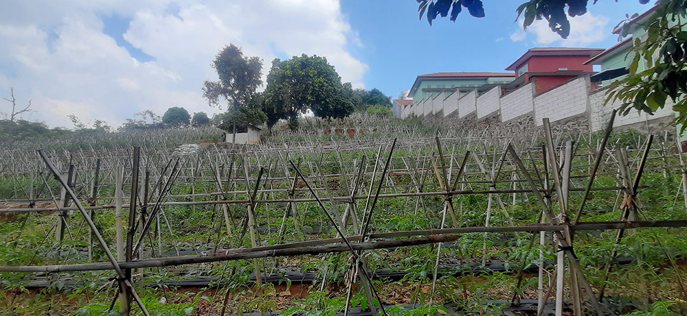 TANAH UTK RUMAH ATAU VILLA VIEW KOTA BANDUNG DI CIUMBULEUIT