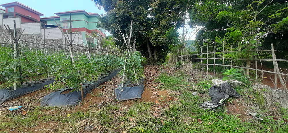 TANAH UTK RUMAH ATAU VILLA VIEW KOTA BANDUNG DI CIUMBULEUIT