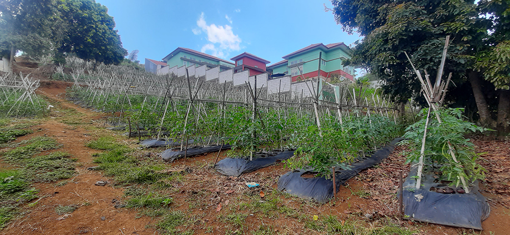 TANAH UTK RUMAH ATAU VILLA VIEW KOTA BANDUNG DI CIUMBULEUIT