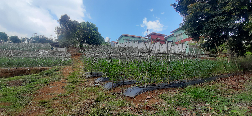 TANAH UTK RUMAH ATAU VILLA VIEW KOTA BANDUNG DI CIUMBULEUIT