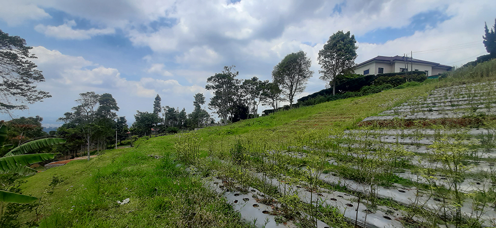 TANAH UTK RUMAH ATAU VILLA VIEW KOTA BANDUNG DI DAGO GIRI