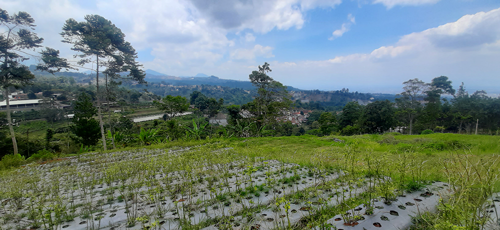 TANAH UTK RUMAH ATAU VILLA VIEW KOTA BANDUNG DI DAGO GIRI