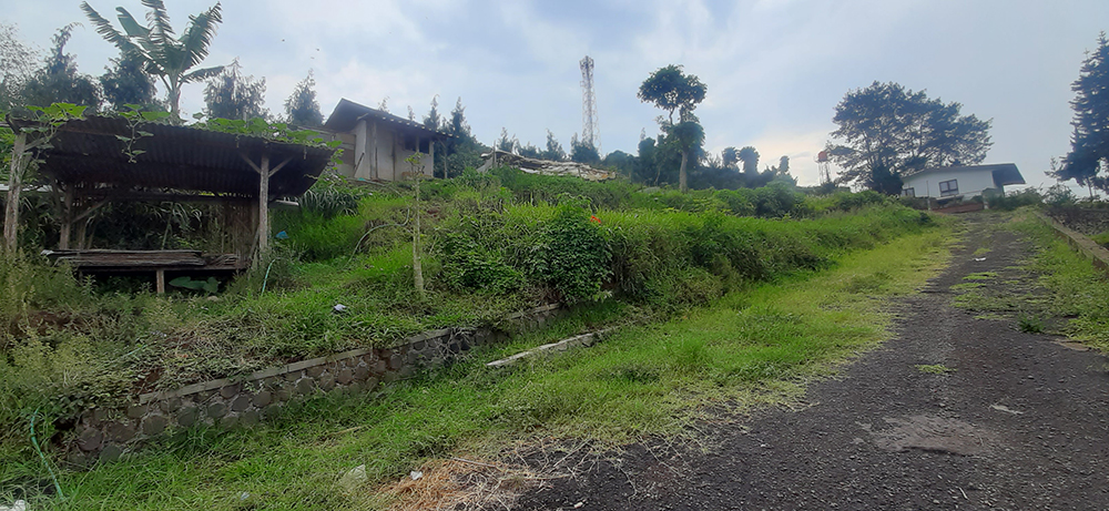 TANAH VIEW GN. TANGKUBAN PERAHU DAN FLOATING MARKET DI LEMBANG