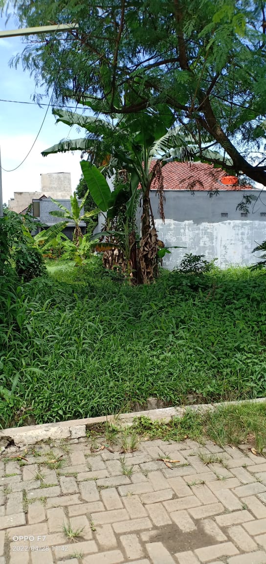 DI JUAL CEPAT TANAH DEPOK