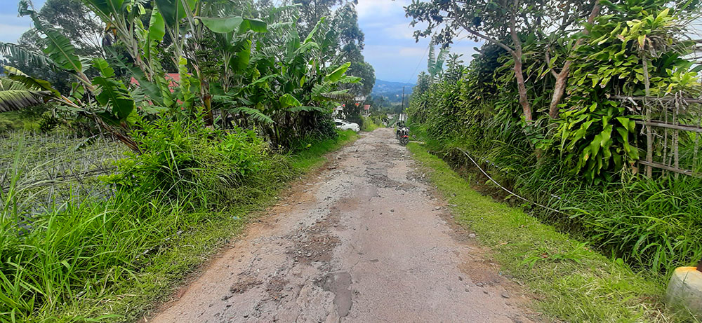 TANAH VIEW KOTA BANDUNG DAN KAMPUNG GAJAH DI LEMBANG BANDUNG