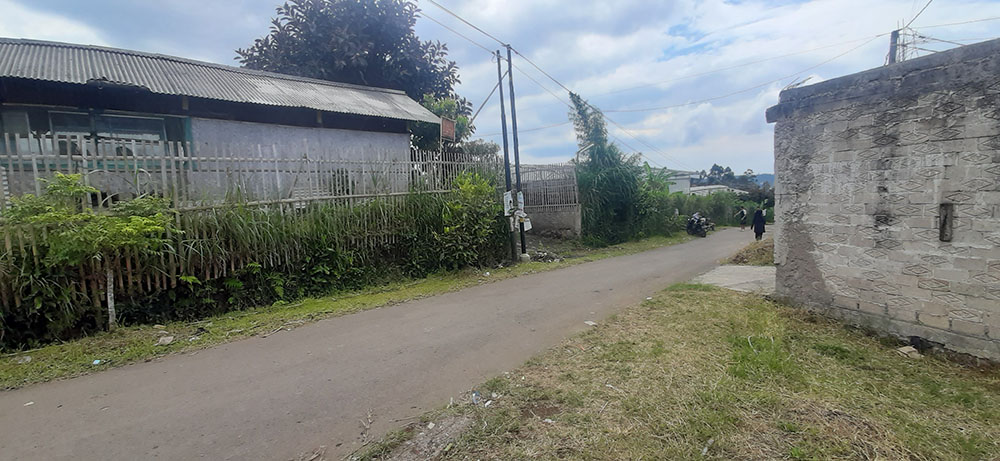 KEBUN ALPUKAT, GREEN HOUSE, KANDANG SAPI & DOMBA DI LEMBANG BDG