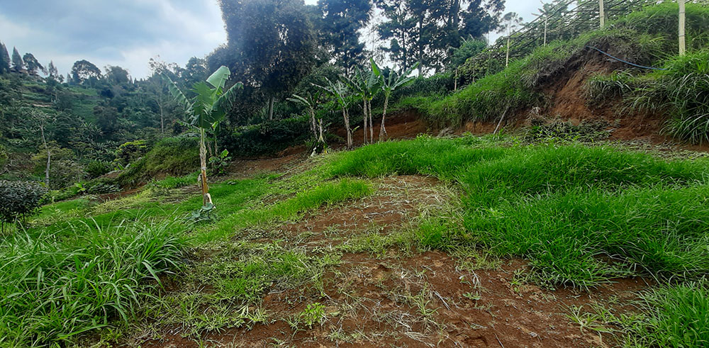 TANAH VIEW KOTA BANDUNG DAN KAMPUNG GAJAH DI LEMBANG BANDUNG