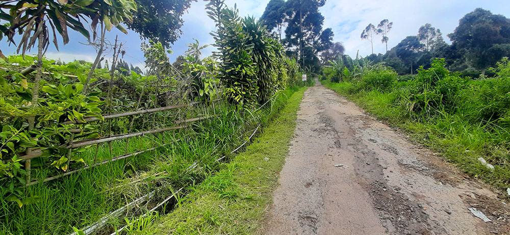 TANAH VIEW KOTA BANDUNG DAN KAMPUNG GAJAH DI LEMBANG BANDUNG