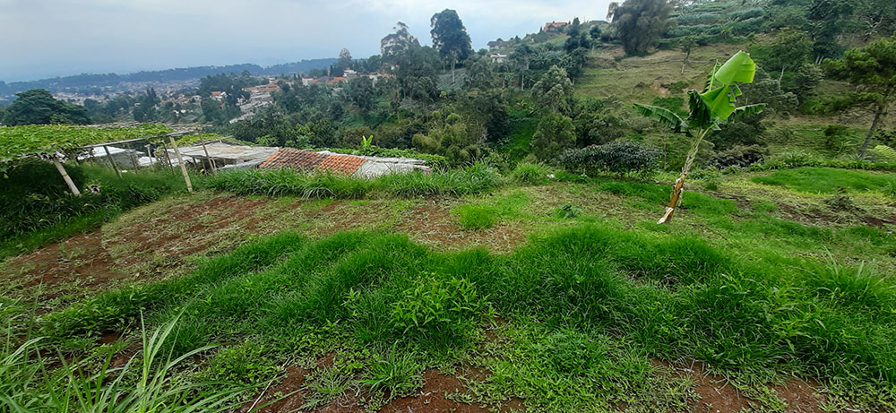 TANAH VIEW KOTA BANDUNG DAN KAMPUNG GAJAH DI LEMBANG BANDUNG