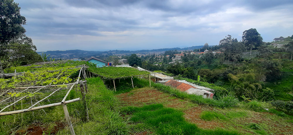 TANAH VIEW KOTA BANDUNG DAN KAMPUNG GAJAH DI LEMBANG BANDUNG