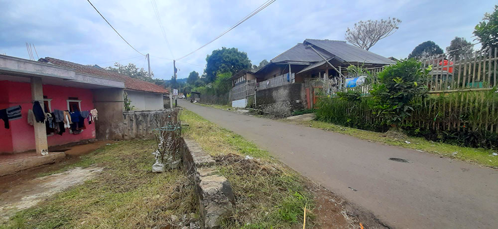 KEBUN ALPUKAT, GREEN HOUSE, KANDANG SAPI & DOMBA DI LEMBANG BDG