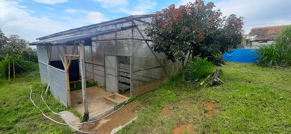 KEBUN ALPUKAT, GREEN HOUSE, KANDANG SAPI & DOMBA DI LEMBANG BDG