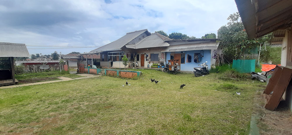 KEBUN ALPUKAT, GREEN HOUSE, KANDANG SAPI & DOMBA DI LEMBANG BDG