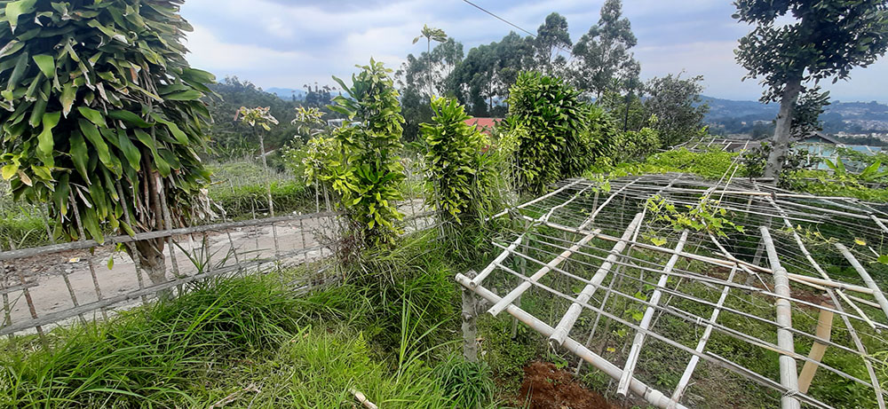 TANAH VIEW KOTA BANDUNG DAN KAMPUNG GAJAH DI LEMBANG BANDUNG