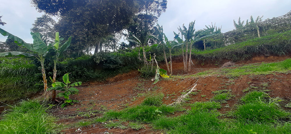 TANAH VIEW KOTA BANDUNG DAN KAMPUNG GAJAH DI LEMBANG BANDUNG