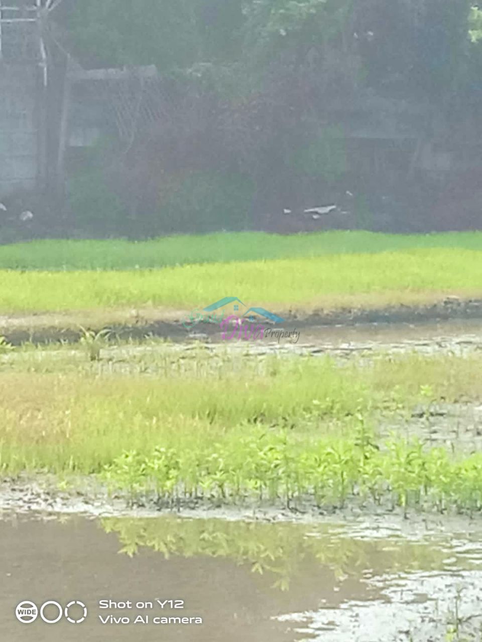 TANAH DI DESA KARANG SARI CIKARANG TIMUR