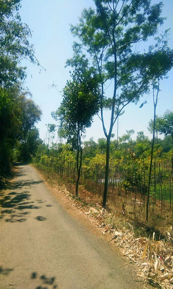 TANAH UTK PERUMAHAN ATAU PERMUKIMAN DI ARJASARI BANDUNG