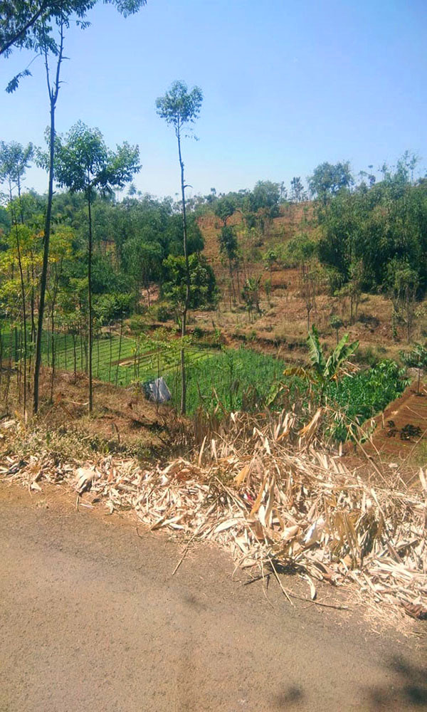 TANAH UTK PERUMAHAN ATAU PERMUKIMAN DI ARJASARI BANDUNG