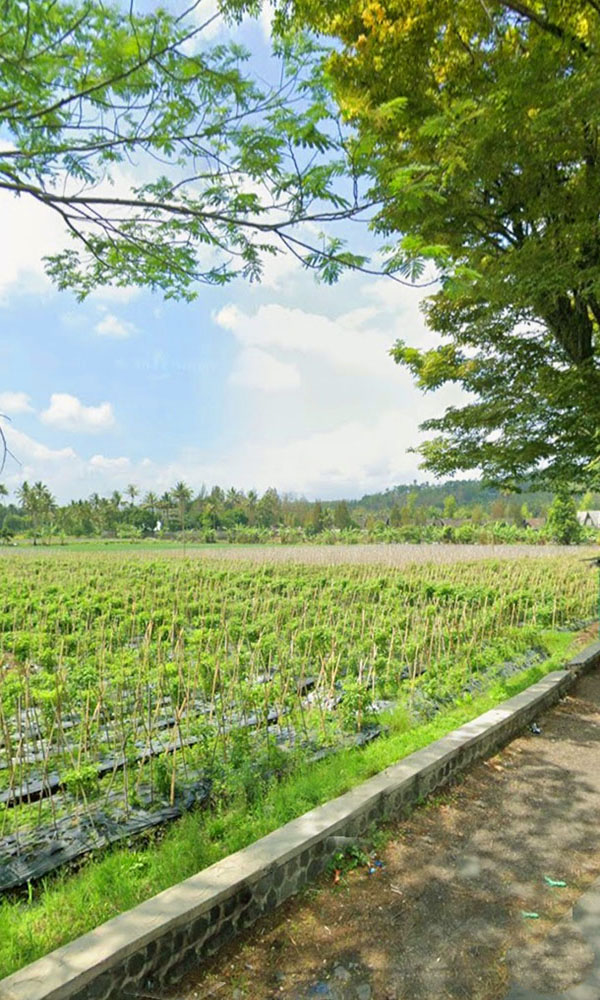 TANAH DEKAT TUJUAN WISATA CIPANAS GARUT