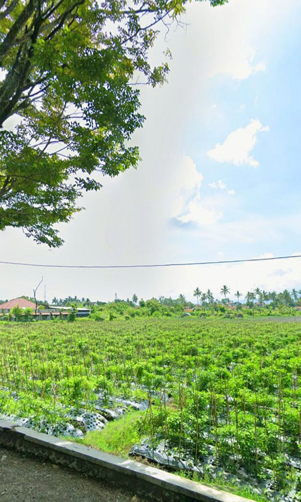 TANAH DEKAT TUJUAN WISATA CIPANAS GARUT